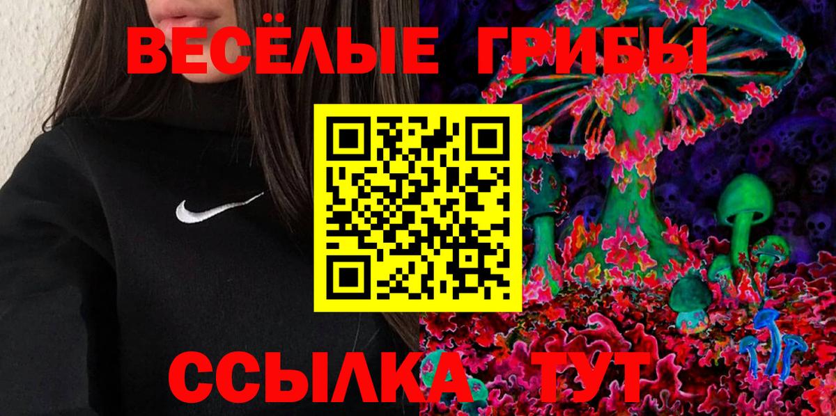 купить наркотик  Вход с VPN  Псилоцибиновые грибы Psilocybine cubensis  Муром  Галлюциногенные грибы GOLDEN TEACHER 