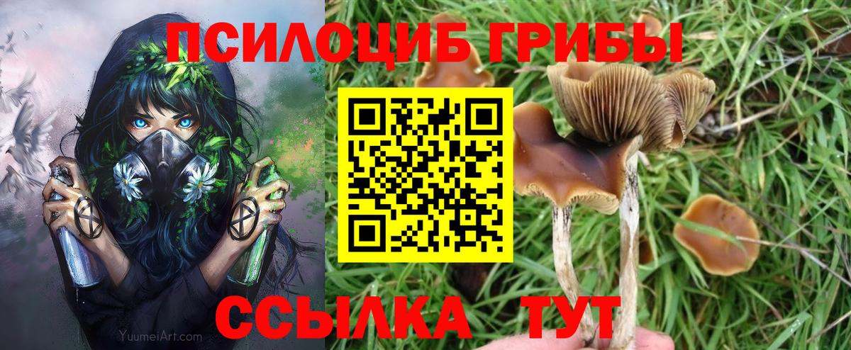 Галлюциногенные грибы Magic Shrooms Муром