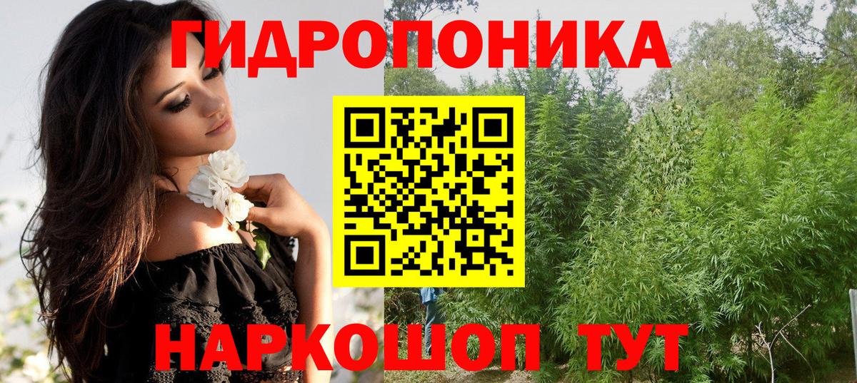 Канабис ГИДРОПОН  Вход с VPN  Марихуана SATIVA & INDICA  Муром  Бошки Шишки White Widow 
